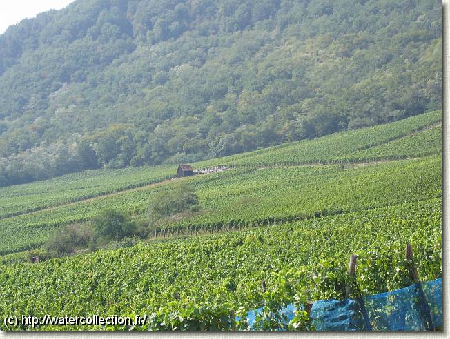 Diapositive suivante